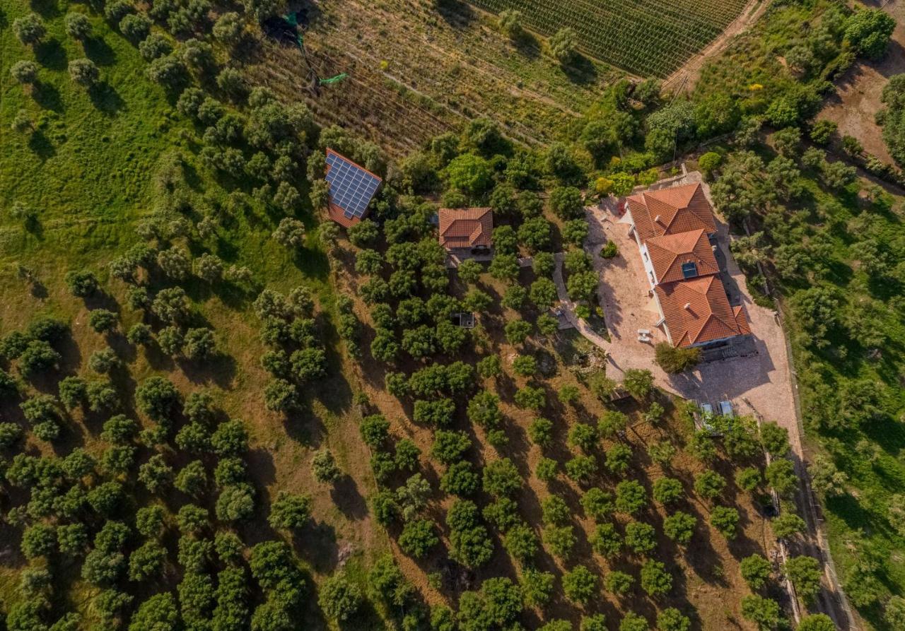Ionianeon Apartments Agios Ilias  ภายนอก รูปภาพ