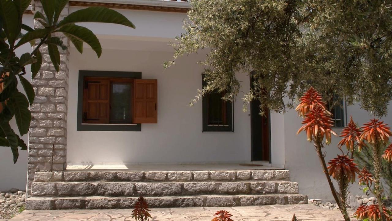 Ionianeon Apartments Agios Ilias  ภายนอก รูปภาพ
