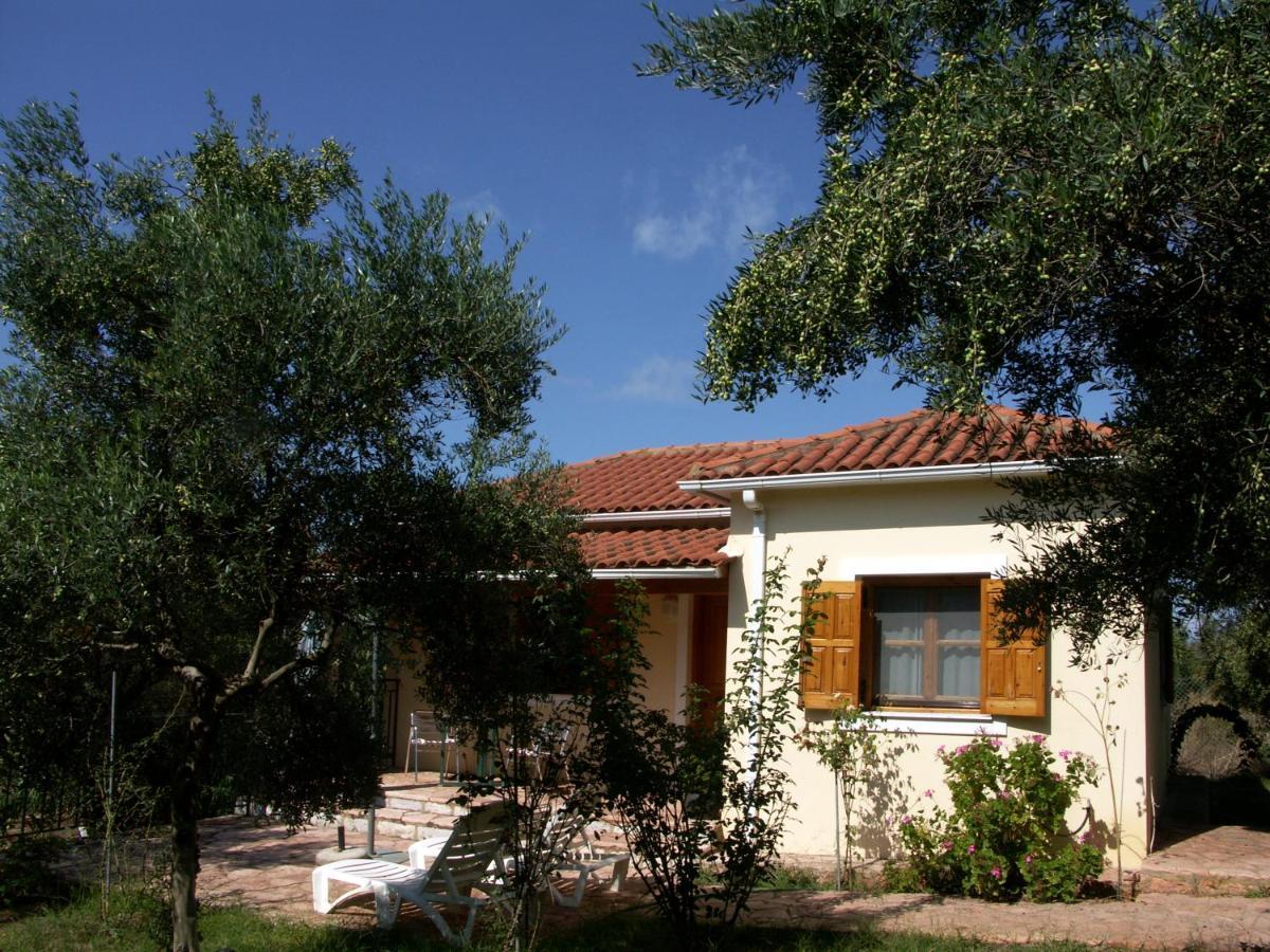Ionianeon Apartments Agios Ilias  ภายนอก รูปภาพ