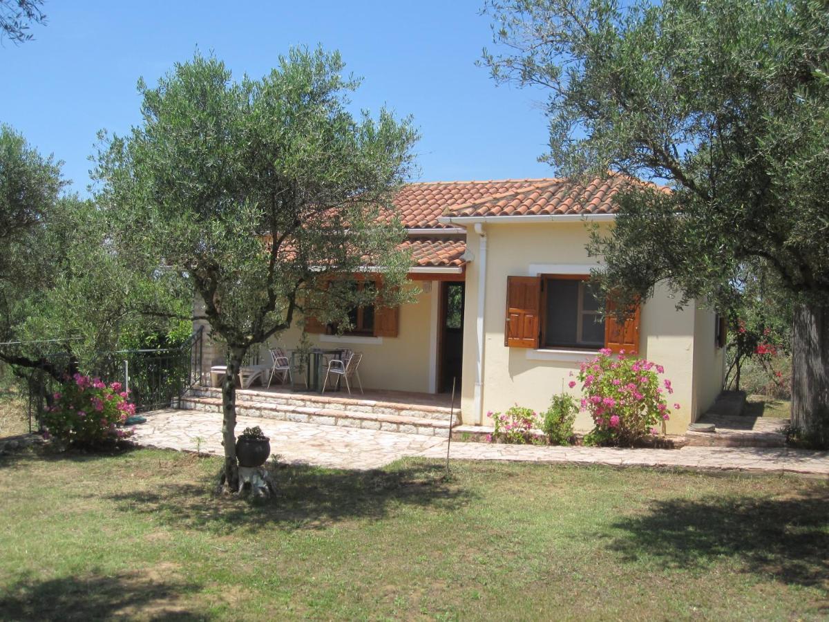 Ionianeon Apartments Agios Ilias  ภายนอก รูปภาพ