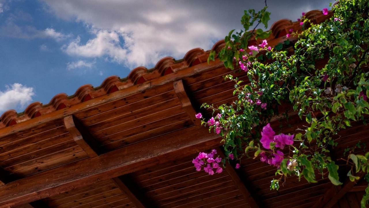 Ionianeon Apartments Agios Ilias  ภายนอก รูปภาพ
